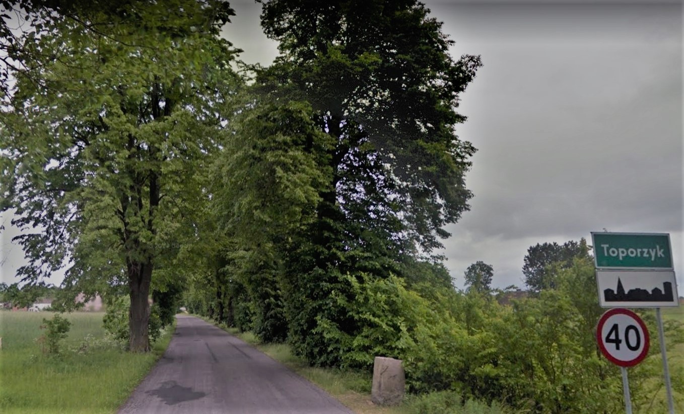 Toporzyk droga wojewódzka