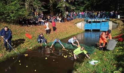 Wyławianie kaczuszek