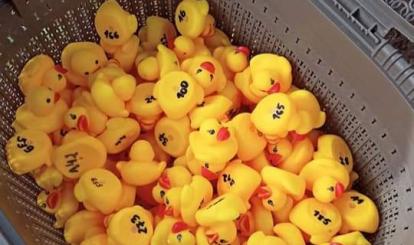 Żółte kaczuszki w koszu