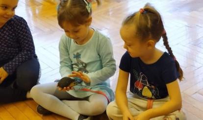 Każde-dziecko-mogło-obejrzeć-jeża-z-bliska