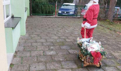 Tuz obok Żuczków jest grupa Pszczółek, które Mikołaj szybko znalazł