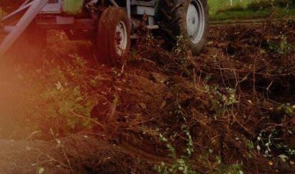 Program SPOŁECZNIK w Toporzyku