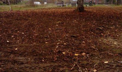 Program SPOŁECZNIK w Toporzyku