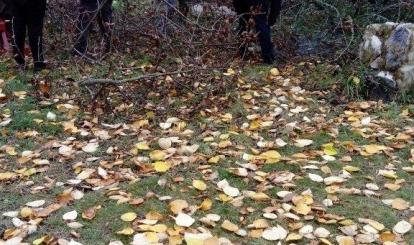 Program SPOŁECZNIK w Toporzyku