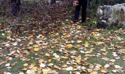 Program SPOŁECZNIK w Toporzyku