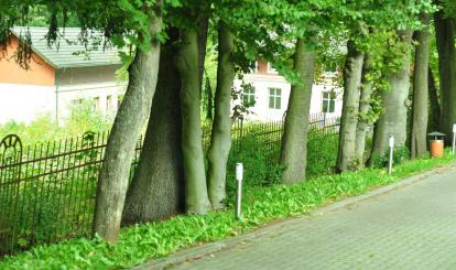 Najbliższe okolice działki