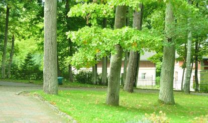 Najbliższa okolica działki