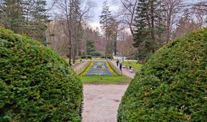 Gmina Połczyn-Zdrój wykonała pierwsze wiosenne nasadzenie dywanu kwiatowego w Parku -Zdrojowym