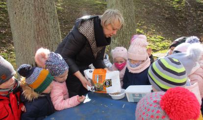 Pamiętamy o bezdomnych kotach i psach