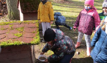 Pamiętamy o bezdomnych kotach i psach