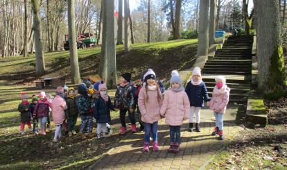 Pamiętamy o bezdomnych kotach i psach