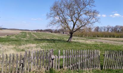 Działka w Wardyniu. 