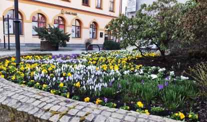 Wiosna fot. Marcin Catewicz