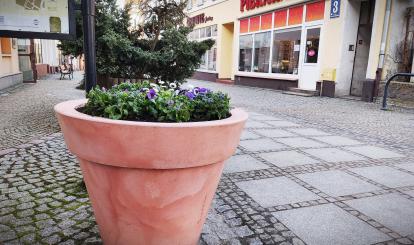 Wiosna fot. Marcin Catewicz