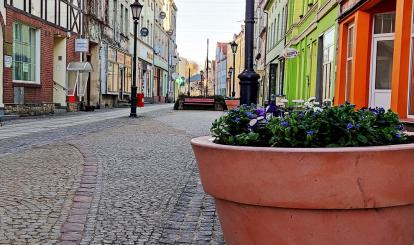 Wiosna fot. Marcin Catewicz