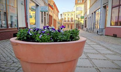 Wiosna fot. Marcin Catewicz