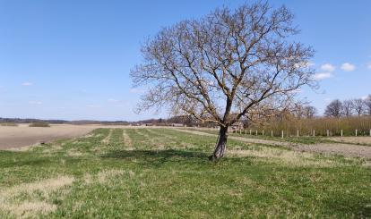 Działka w Wardyniu Górnym fot. Marcin Catewicz