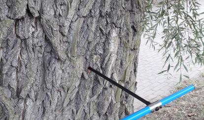 Wycięcie części drzew zostało poprzedzone szczegółową analizą i badaniem