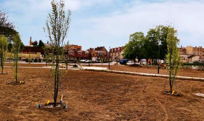 Będzie zielono na Placu 1000-lecia