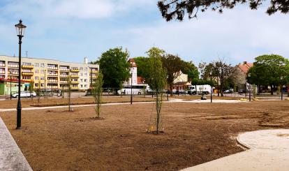 Będzie zielono na Placu 1000-lecia