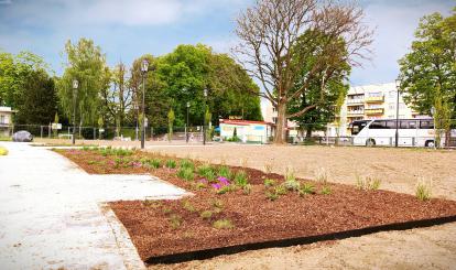 Będzie zielono na Placu 1000-lecia