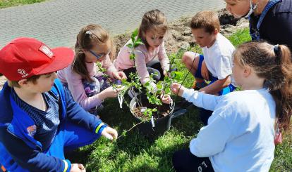 Dzieci uczą się rozpoznawać gatunki drzew i krzewów