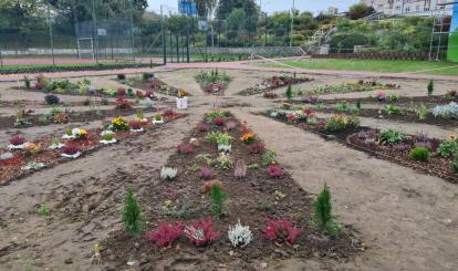 Teren za szkołą powoli jest zagospodarowany