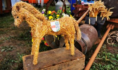 DOŻYNKI POWIATOWE - UDANA PROMOCJA GMINY POŁCZYN-ZDRÓJ!