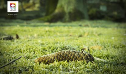 Marcowa Szwajcaria Połczyńska na tapecie