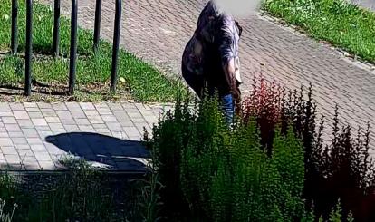 Miejskie kwiaty nadal mają swoich amatorów 