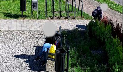 Miejskie kwiaty nadal mają swoich amatorów 