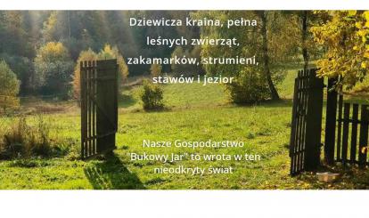 Bukowy Jar- promocja