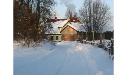 Bukowy Jar w zimowej odsłonie