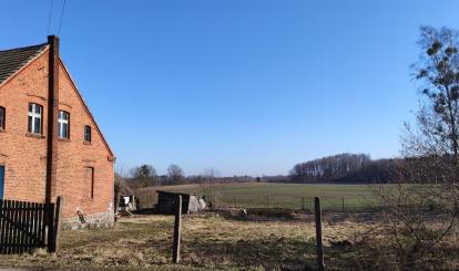 Za nieruchomością rozciągają się działki opisane w tej ofercie