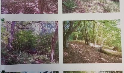 Dokumentacja fotograficzna Działka Nr 50 obręb Kapice, gmina Połczyn-Zdrój