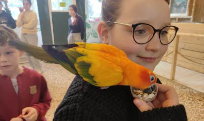 Podsumowanie II turnusu Ferii z CK