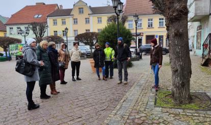 Arborysta doradził, jak dbać o drzewa 