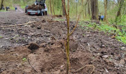 Akcja ,,Posadź z nami drzewo!''