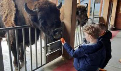 Dzika Zagroda Jabłonowo 