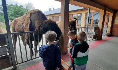 Dzika Zagroda Jabłonowo 