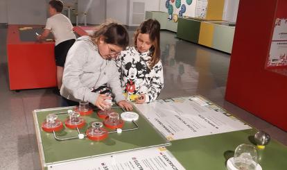 Wycieczka do Torunia