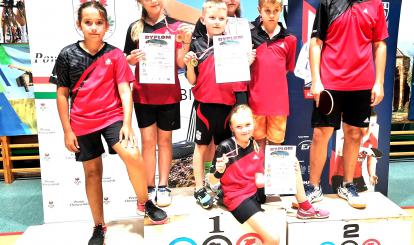 XII TURNIEJ TENISA STOŁOWEGO O PUCHAR WÓJTA GMINY BIERZWNIK 