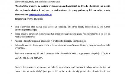 Informacja