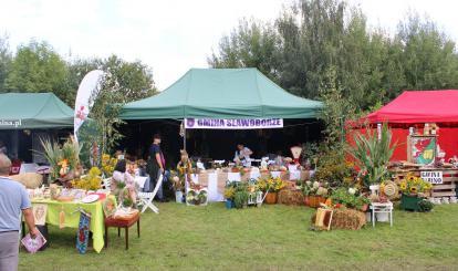 Powiatowe Święto Plonów- Dożynki 2023