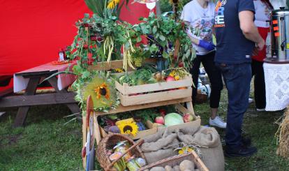 Powiatowe Święto Plonów- Dożynki 2023