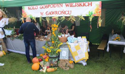 Powiatowe Święto Plonów- Dożynki 2023