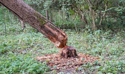Trzeci rajd krajoznawczy “Poznaję Szwajcarię Połczyńską”