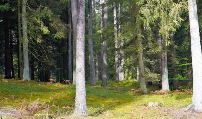 Czwarty rajd krajoznawczy “Poznaję Szwajcarię Połczyńską”