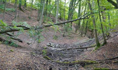 Trzeci rajd krajoznawczy “Poznaję Szwajcarię Połczyńską”