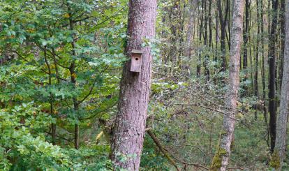 Czwarty rajd krajoznawczy “Poznaję Szwajcarię Połczyńską”